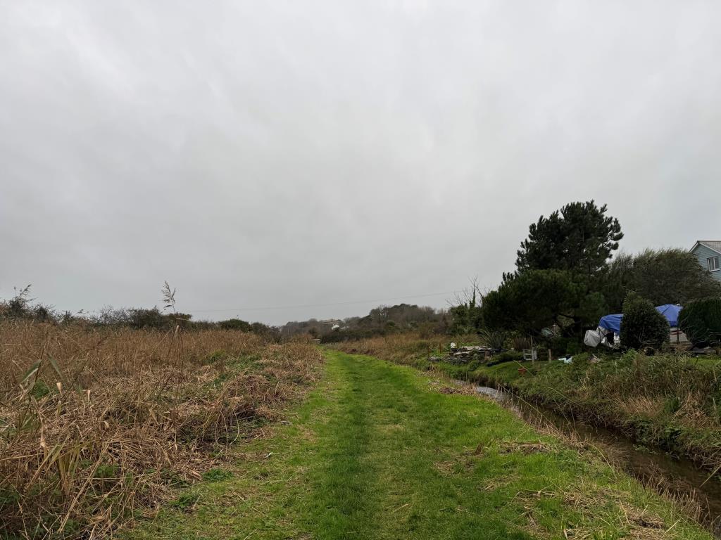 Lot: 12 - FREEHOLD PARCEL OF LAND AND ROADWAY IN RESIDENTIAL LOCATION - Picture of land